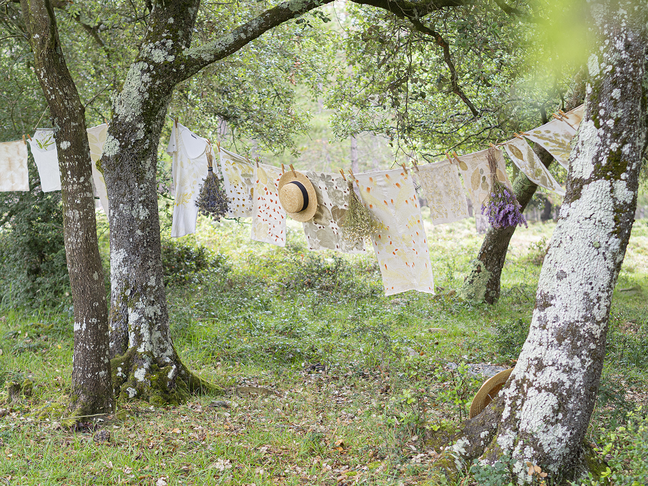 DIY Estampación botánica en tela19